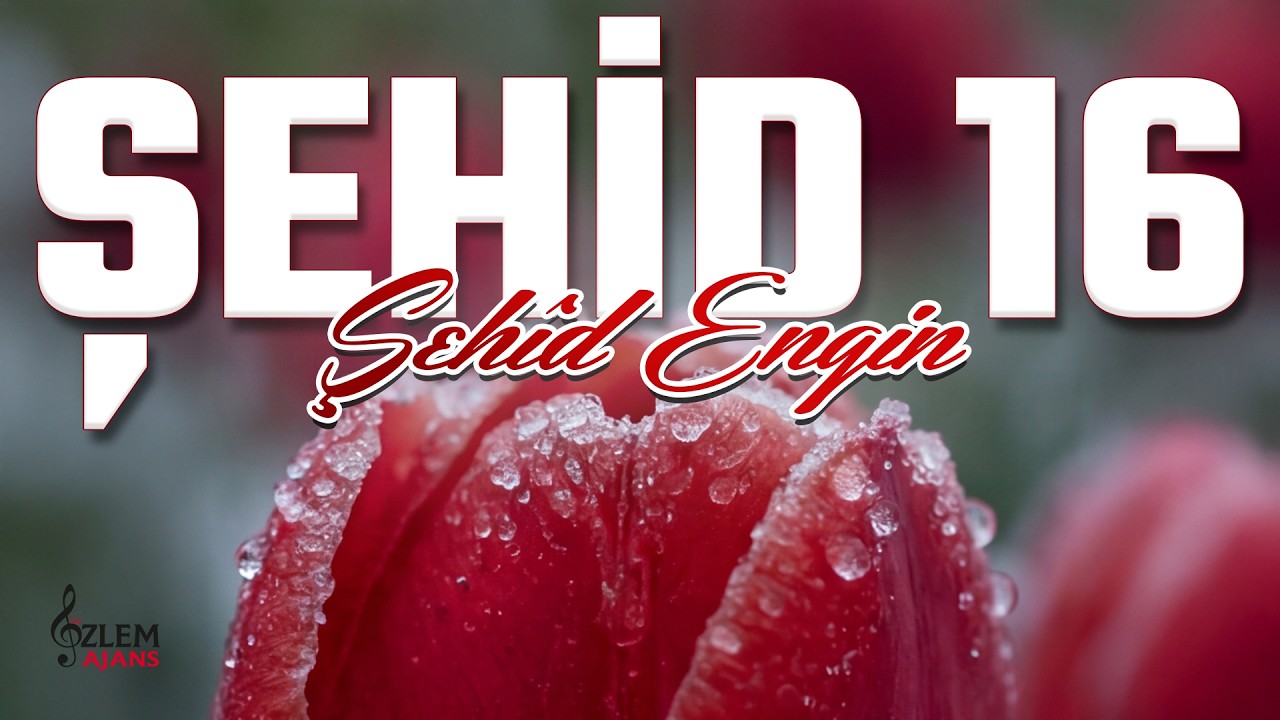 Şehid 16 Albümü | Şehîd Engîn | Servet | Özlem Ajans