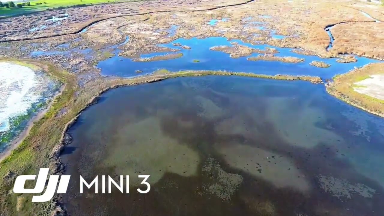 Dji avatar 2 vs dji mini 3.       Dji drones 