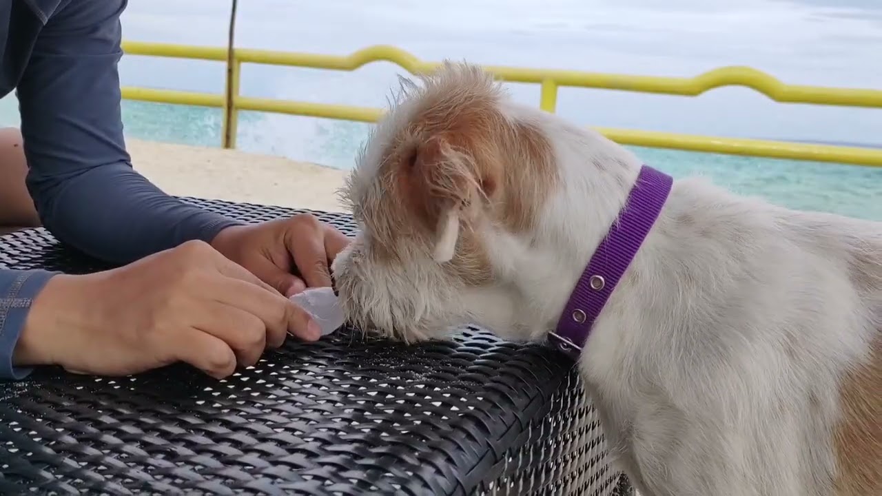 Yumi'S Bantayan Island Adventure 2022 | Cebu