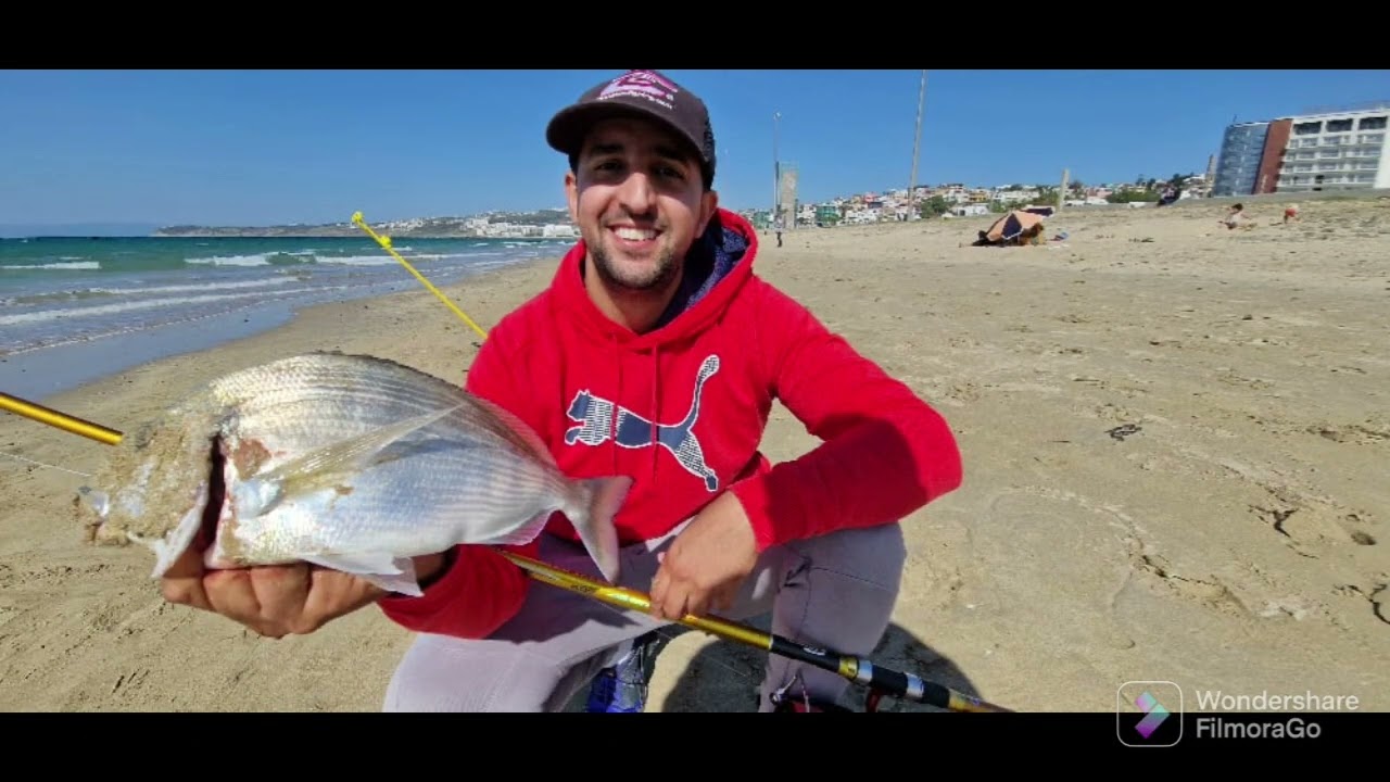 SURFCASTING TANGER MAROCCO (  una día espectacular ) DORADITA 1 KG Y Pequeña Marbré