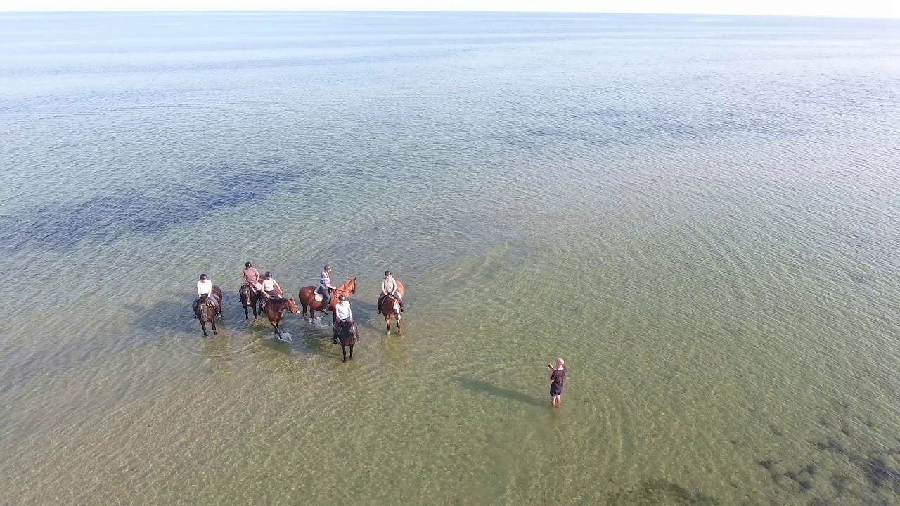 Insel Poel Ausritt 230818