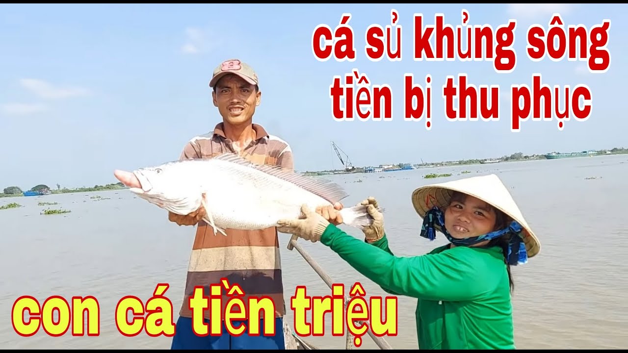 Khai Trương Lưới Neo Đầu Năm Mới Dính Cá Sủ Khổng Lồ Sông Tiền # SĂN BẮT ĐỒNG THÁP #