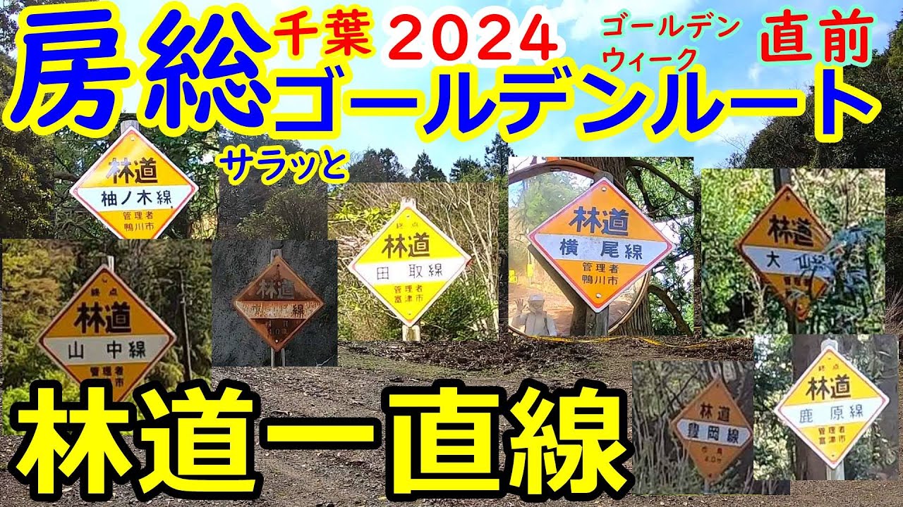 【林道一直線】　千葉　林道　房総ゴールデンルート 2024