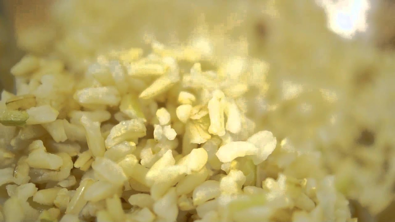 Porada - Rodzaje ryżu (porady kulinarne Przepisy.pl)