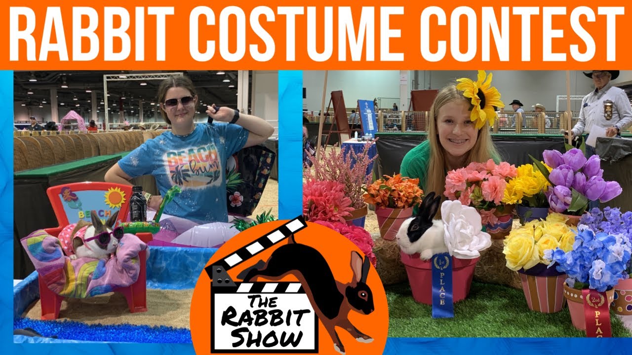 Rabbit Costume Contest Houston Livestock Show and Rodeo 2023