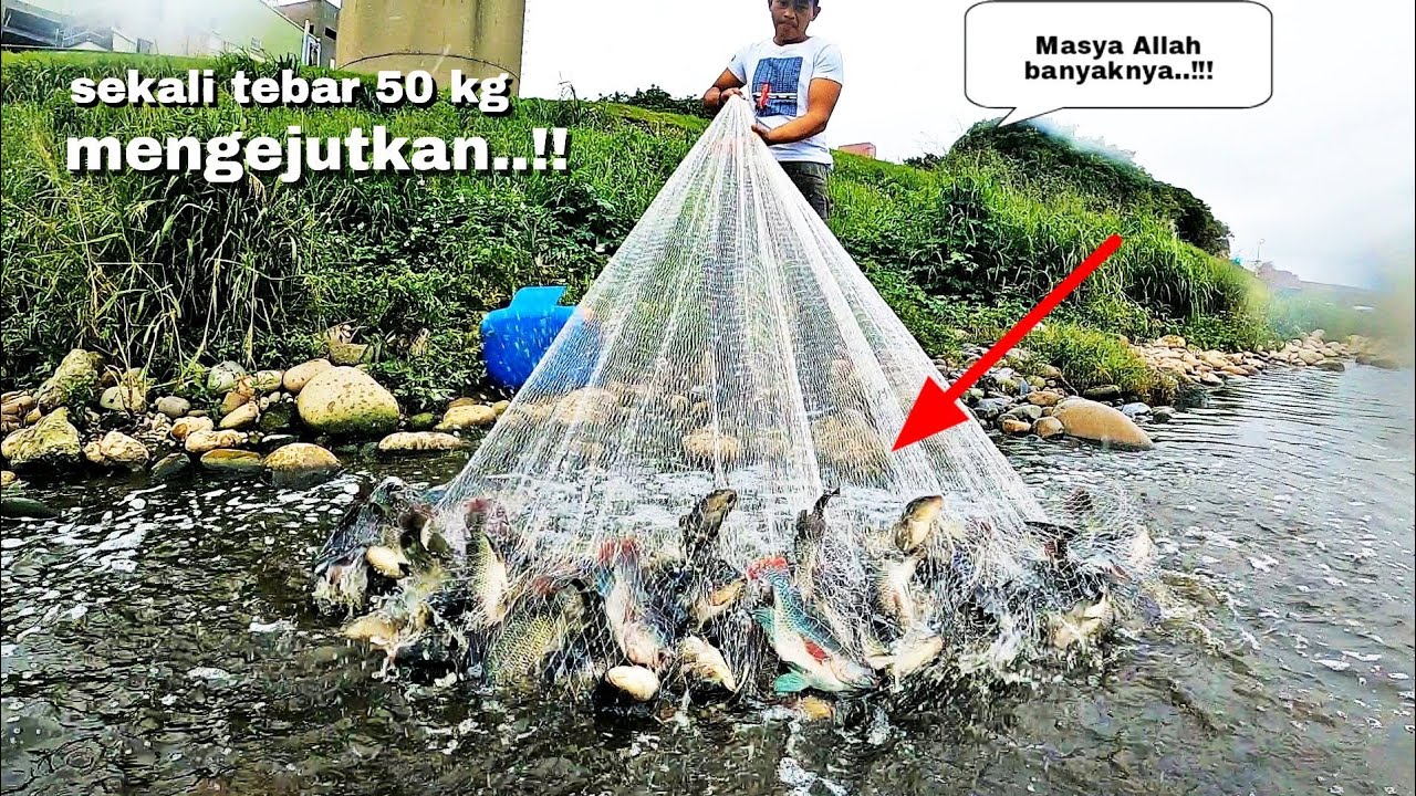 Masya Allah hasilnya...!!! 😱 sekali tebar || Jala ikan di Taiwan