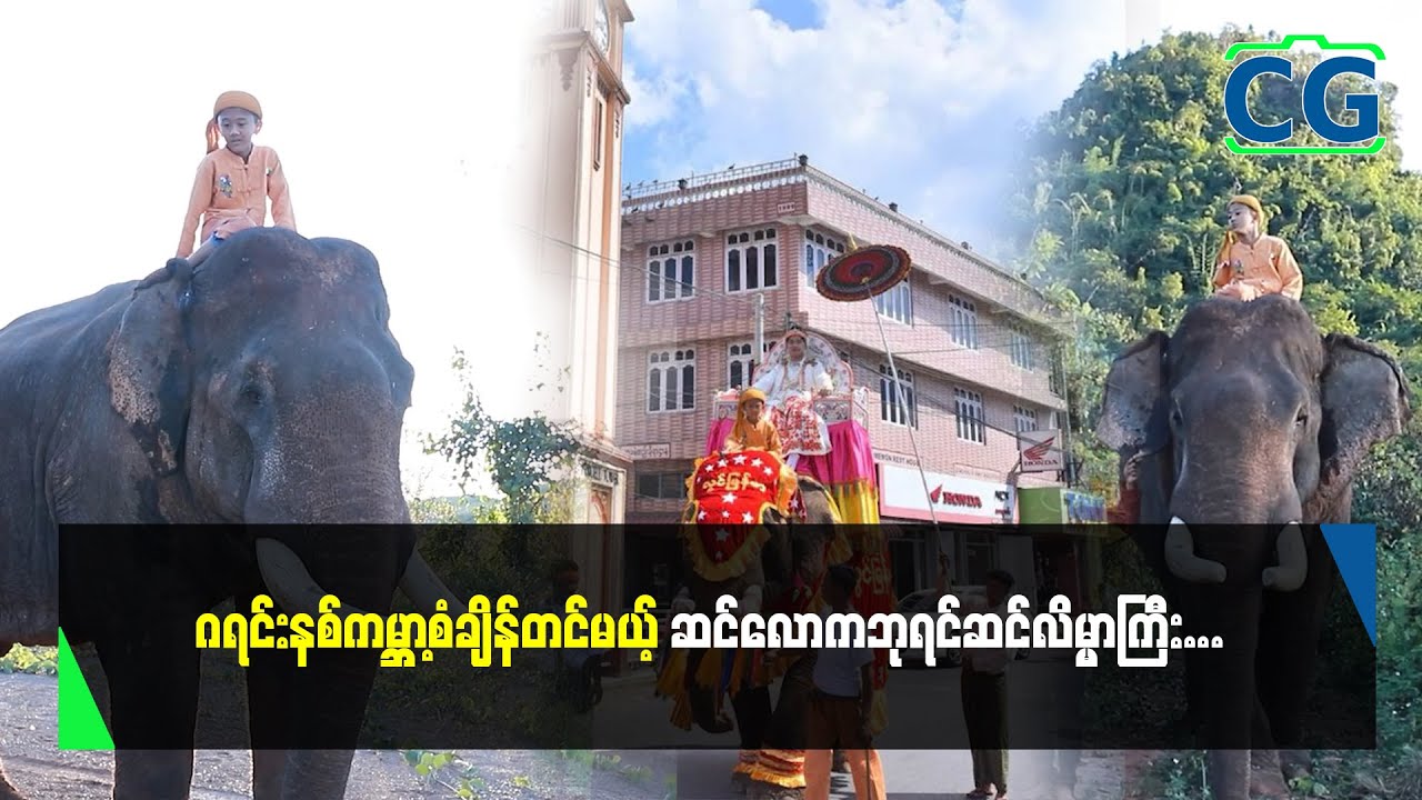 ဂရင်းနစ်ကမ္ဘာ့စံချိန်တင်မယ့် ဆင်လောကရဲ့ဘုရင် ဆင်လိမ္မာကြီး....