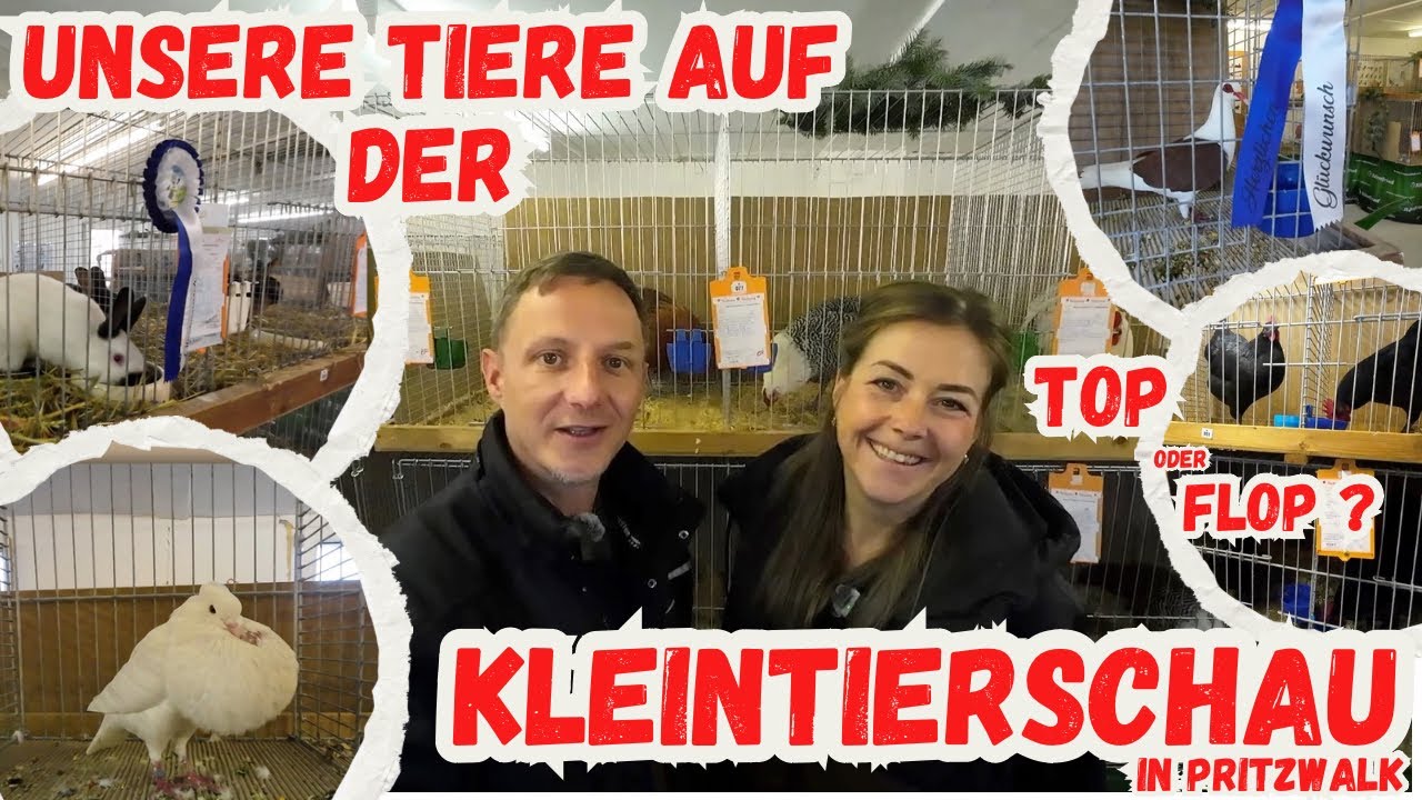 Unsere Hühner und Enten auf der Kleintierschau / Ausstellung in Pritzwalk