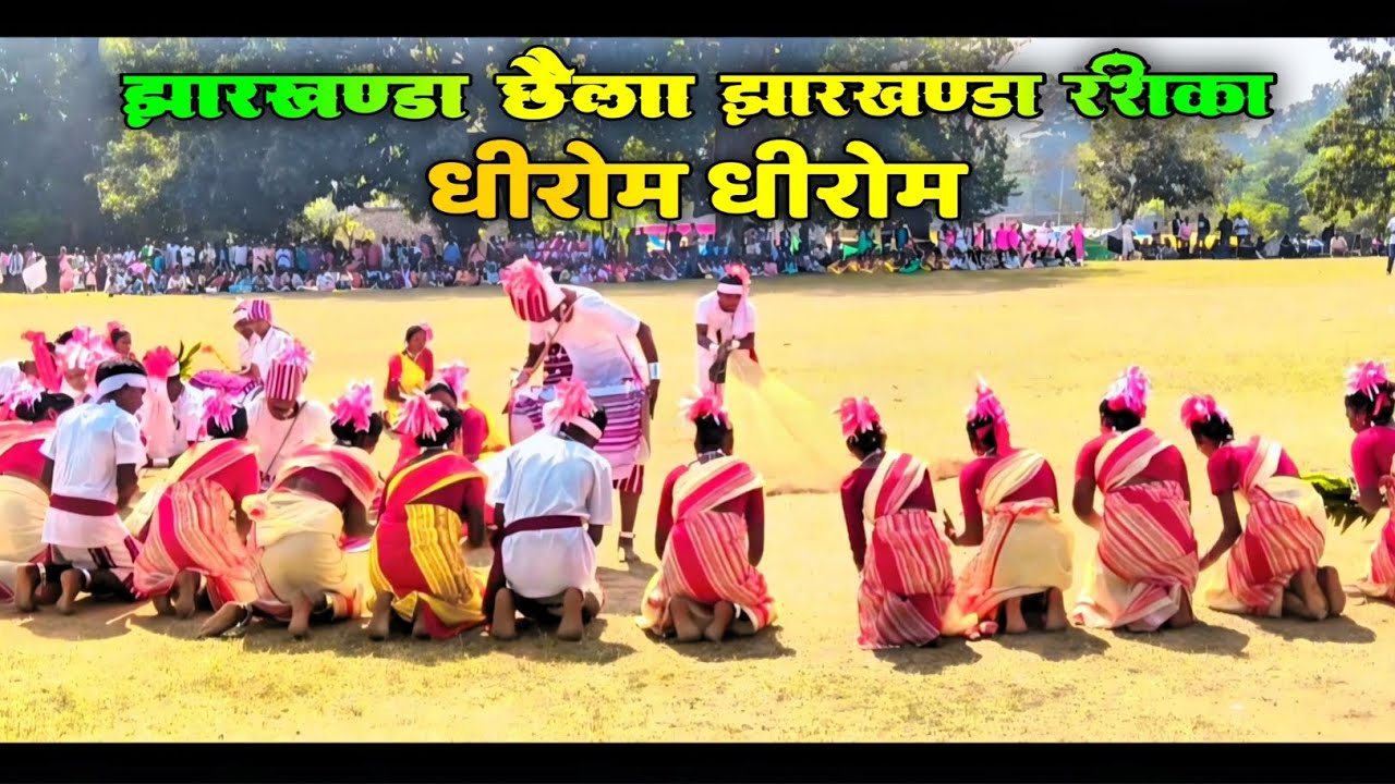 आदिवासी पारंपरिक नृत्य || Adivasi Traditional Dance 🥀 झारखंडा छैला झारखंडा राशिका 