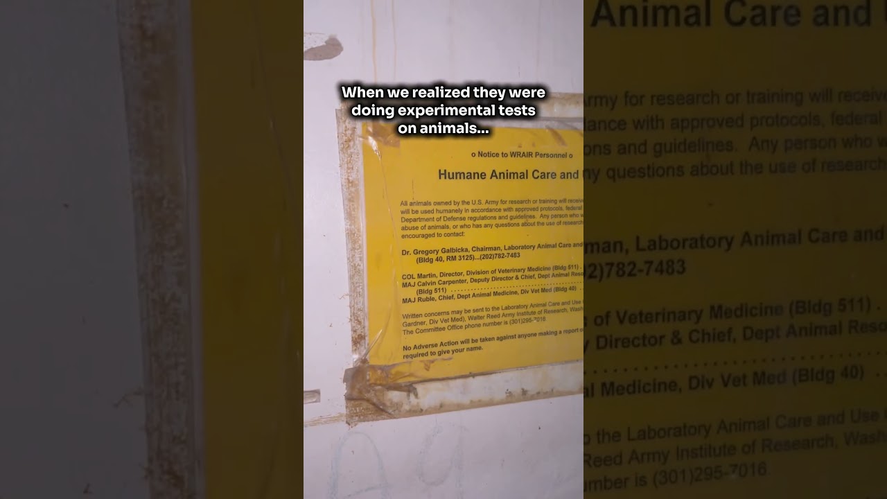 They wanted this abandoned spot to be a secret! #urbex #abandonedplaces #abandoned #fyp #viral