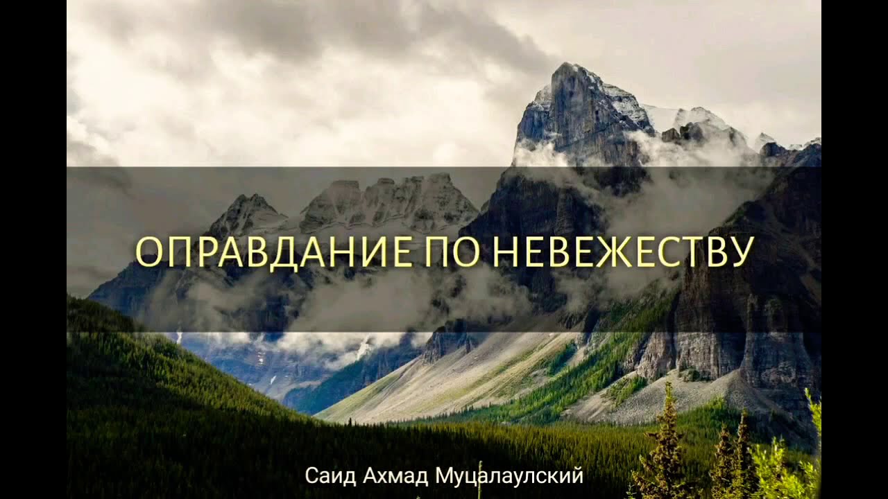Оправдание по невежеству. Саидахмад Муцалаулский