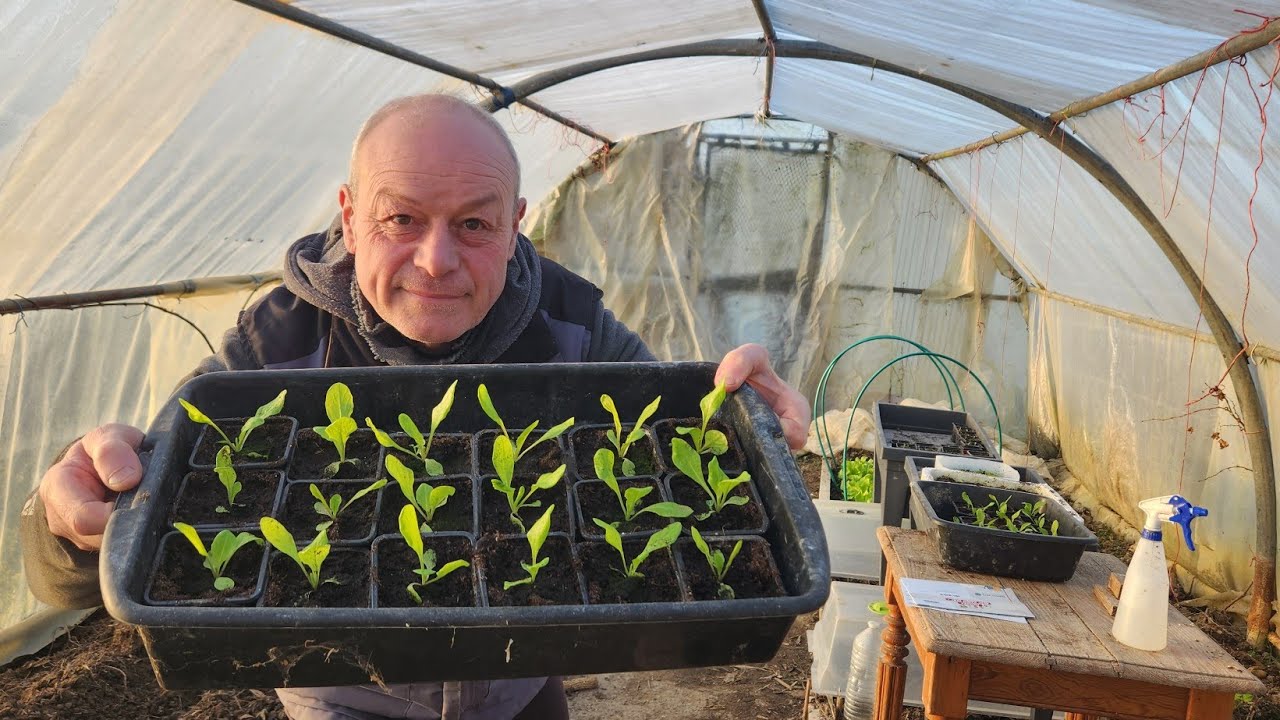 Un calendrier 📅 du potager  intéressant  gratuit  !