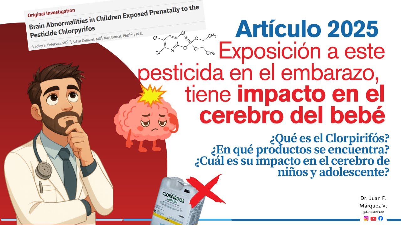 Este pesticida afecta el cerebro de los bebés. Clorpirifós: lo que debes saber (JAMA Neurology 2025)