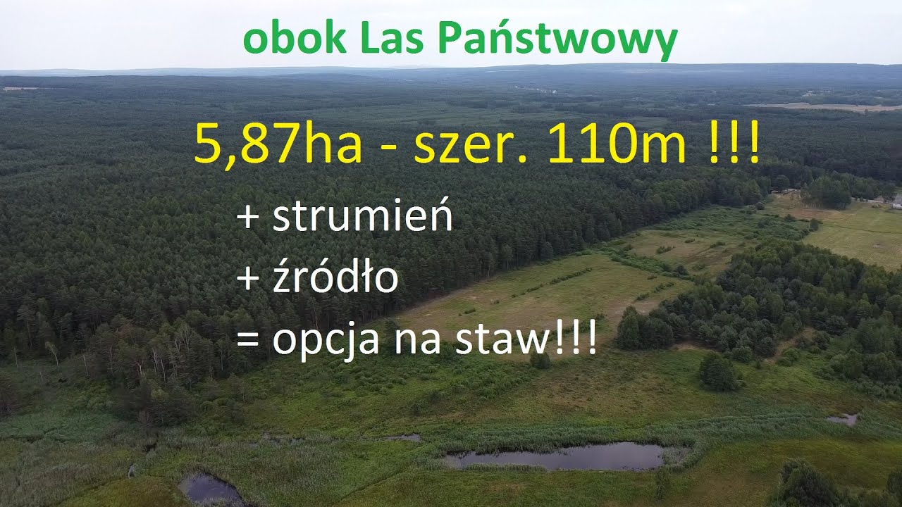 Na sprzedaż 5,87ha, strumień, źródło szer. 110m ! przy Lesie Państwowym