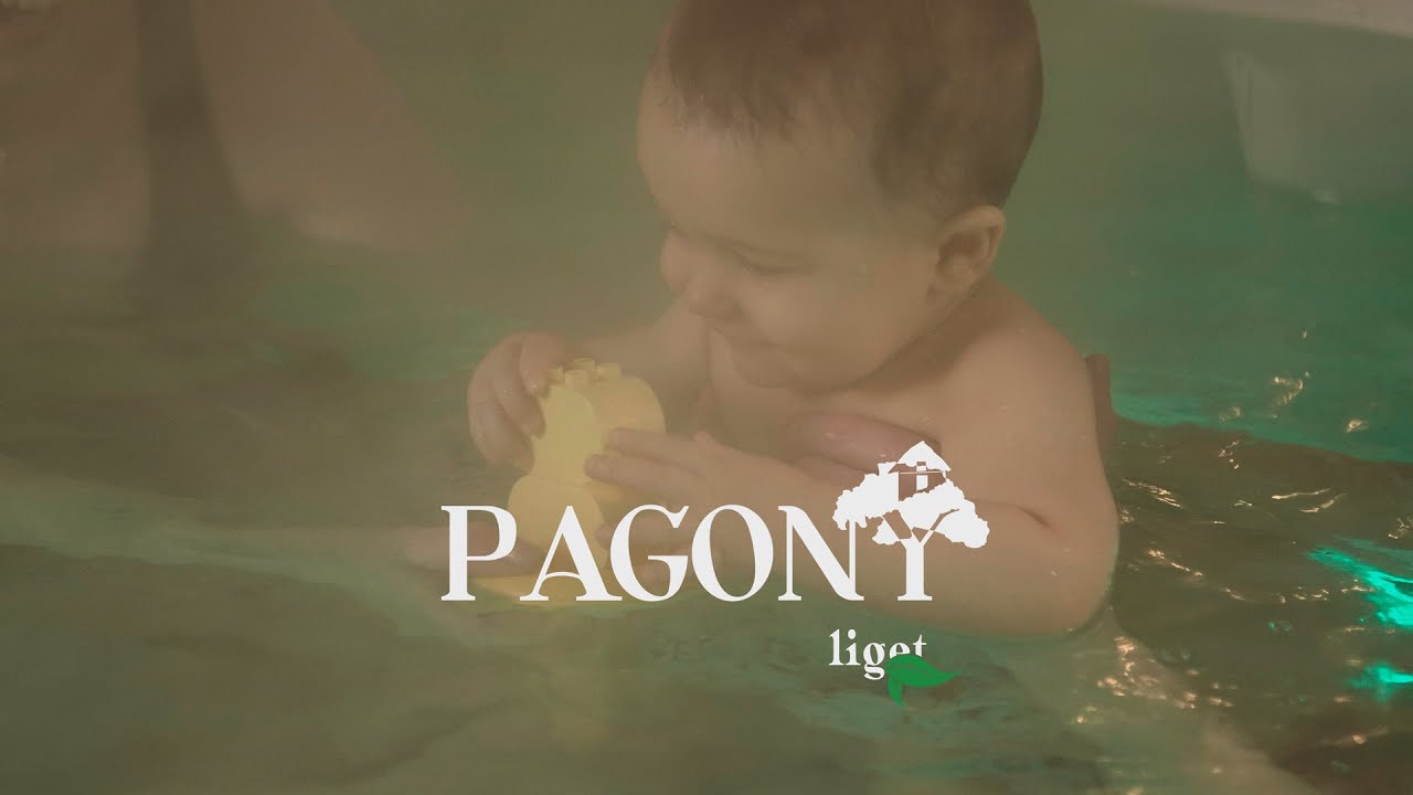 Pagony-liget vend&eacute;gh&aacute;z 
