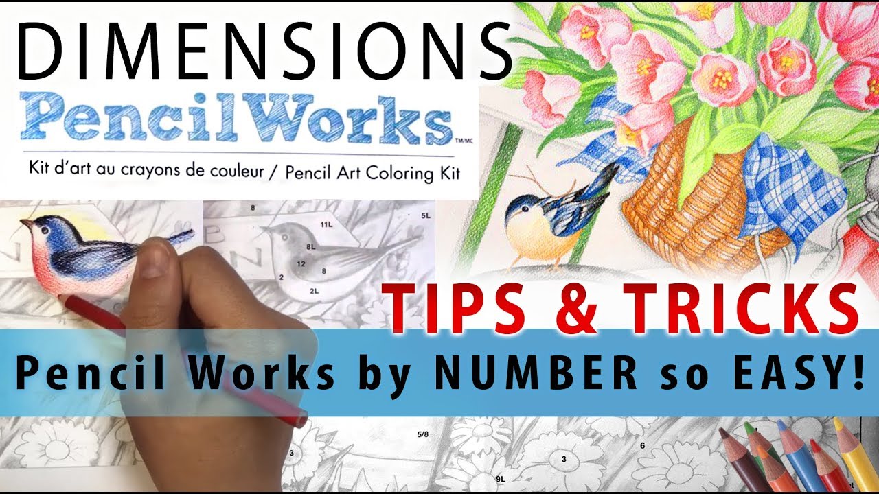 Pencil Coloring! Tips & tricks 🎨DIMENSIONS by numbers