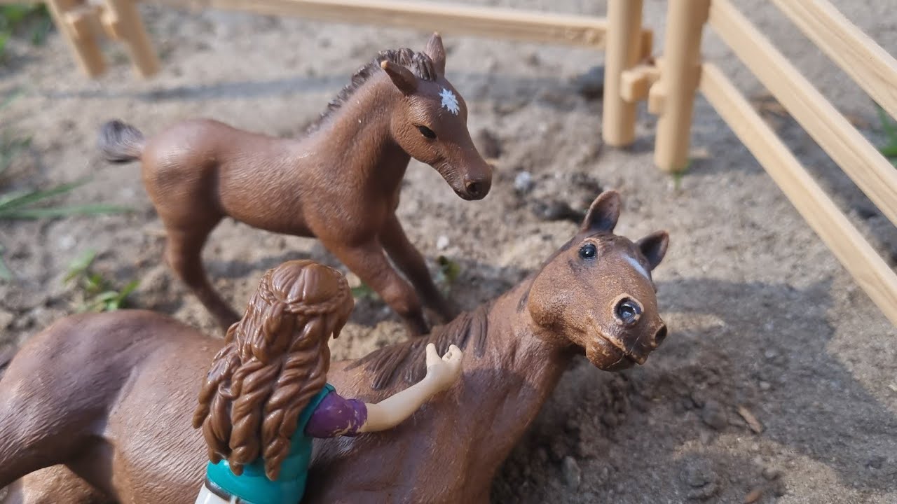 Die traurige Geschichte eines Fohlens namens Bell💔😥// Schleich Film