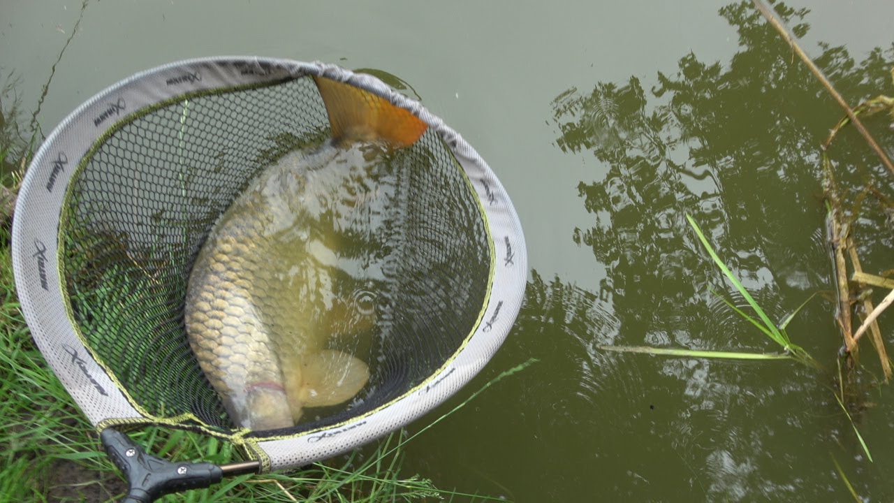 3 uur vissen op de plas van Yde de Punt