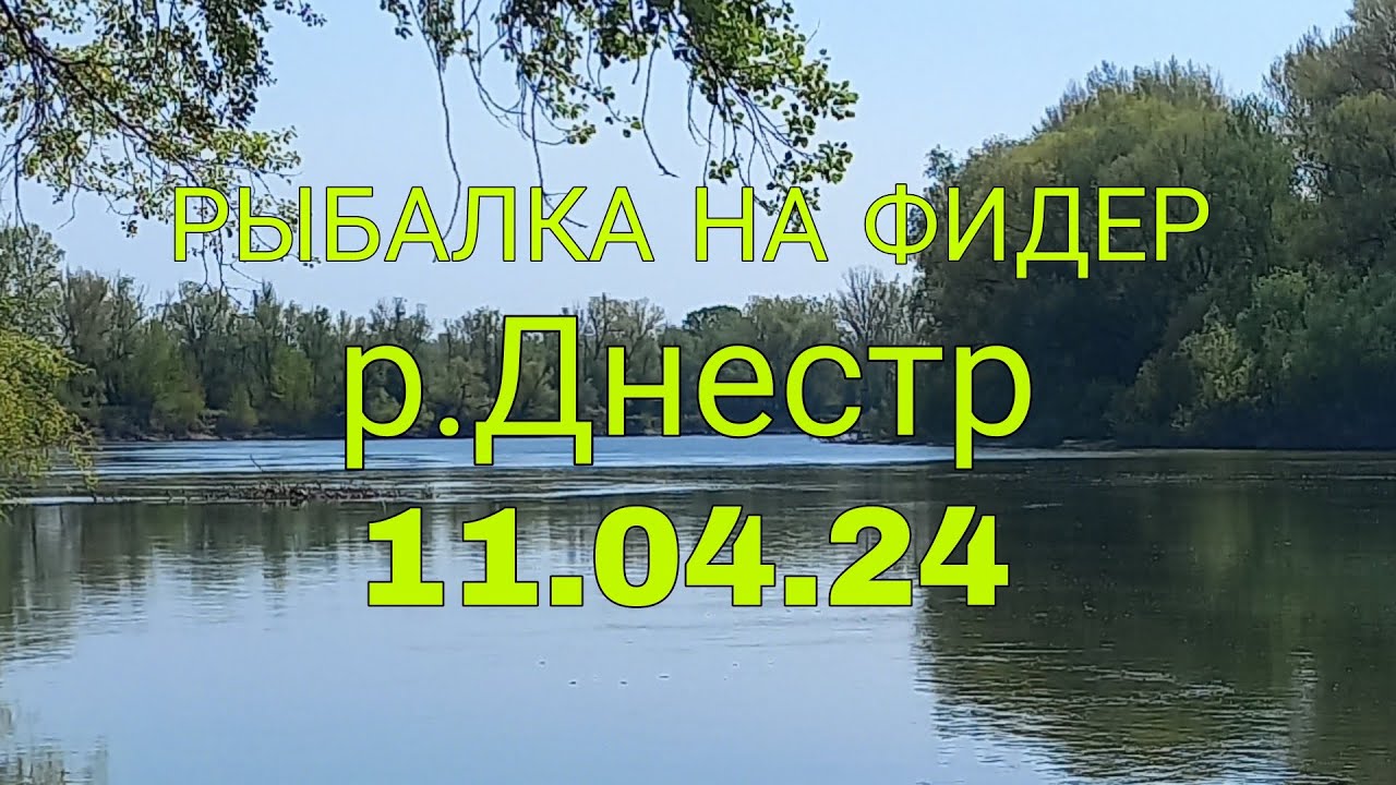 Батя плохому не научит 👍 #fish #fishing #nature #feeder #beautiful #adventure #рыбалка #youtube