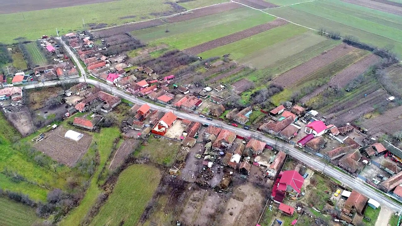 Taut Bihor, Crisul Negru