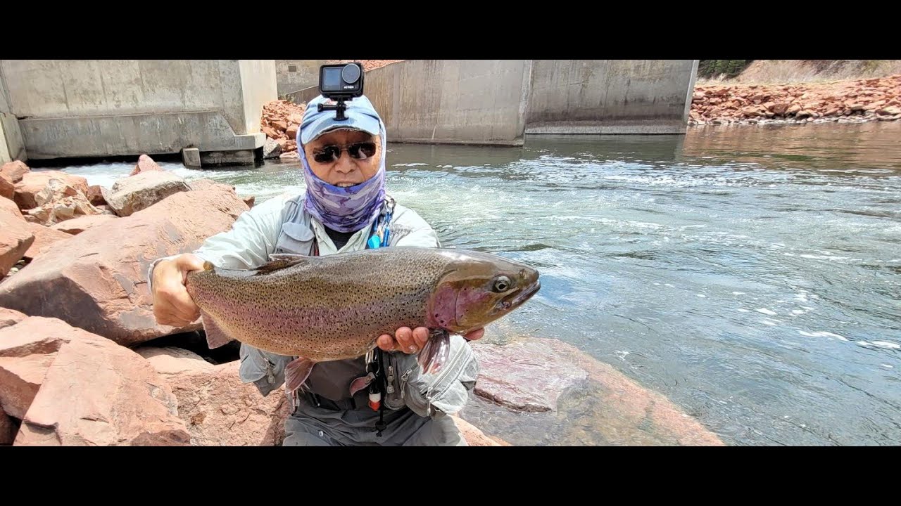 Epic Day Again, Fly Fishing the Fryingpan River River Colorado, Right fly matters!