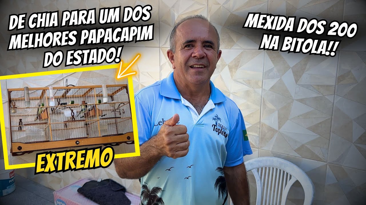 LEBRITO LABRAITE UM FENÔMENO EM COLOCAR PAPACAPIM ACIMA DOS 200 PRA CANTAR BITOLA!!