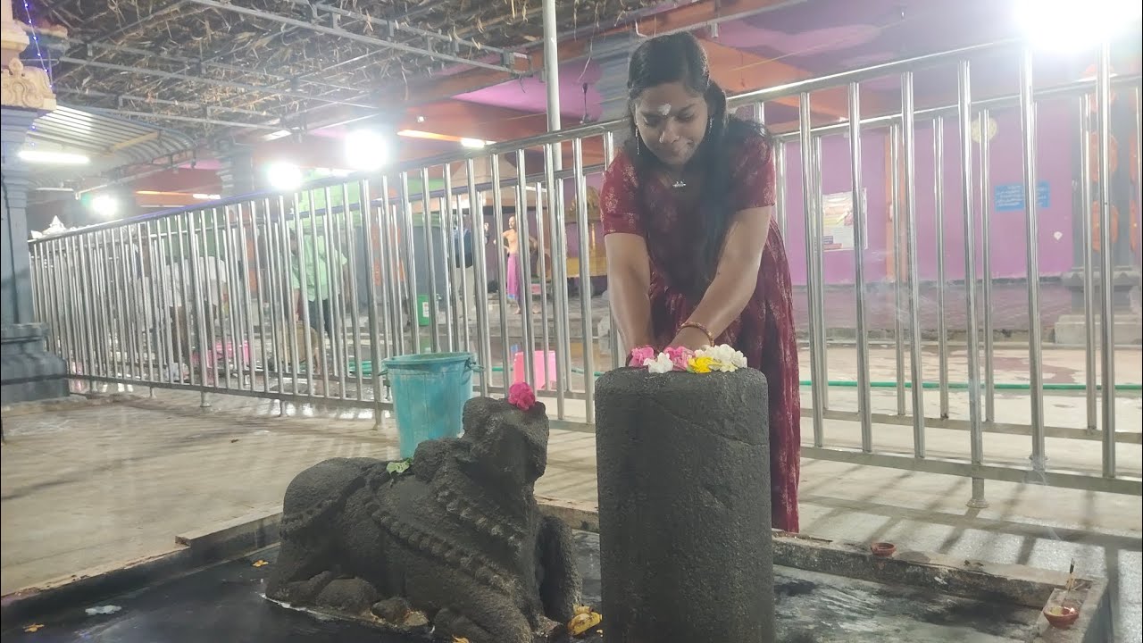 శ్రీ కుక్కటేశ్వర స్వామి దేవస్థానం టెంపుల్ పిఠాపురం 🙏 మహాశివరాత్రి  2026🙏