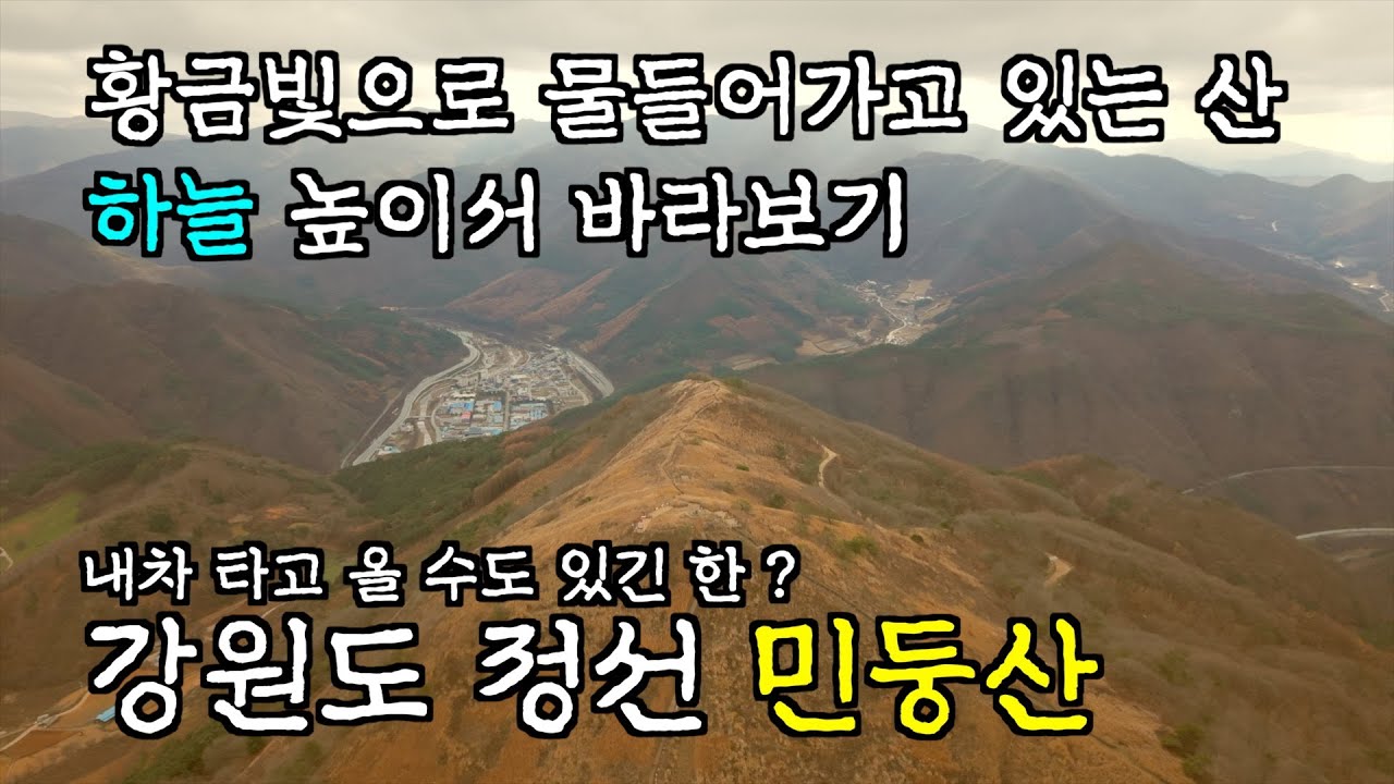 황금빛 억새 민둥산의 하늘을 담아보기 - 강원도 정선 민둥산 드론샷
