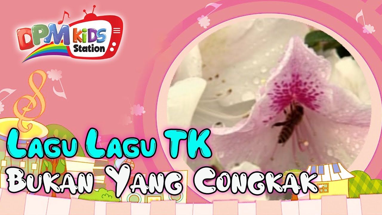 Bukan Yang Congkak (Official Kids Video)