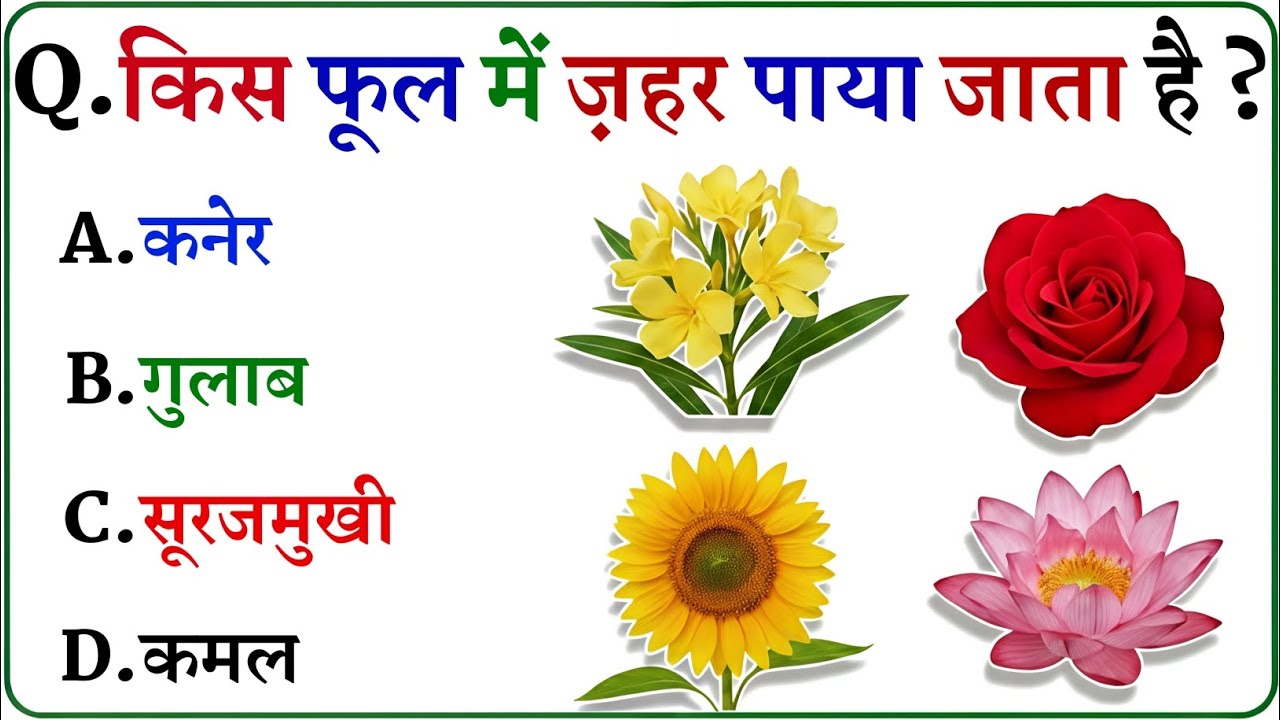 Gk Question || General Knowledge || GK Ke Sawal || Gk in Hindi || Gk Quiz