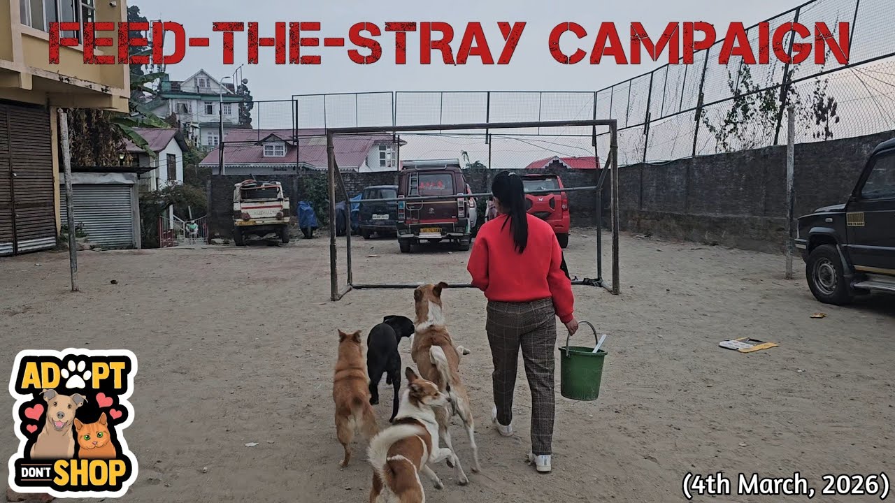 Mukhia Family’s Kind Gesture Feeds Kurseong’s Voiceless Friends