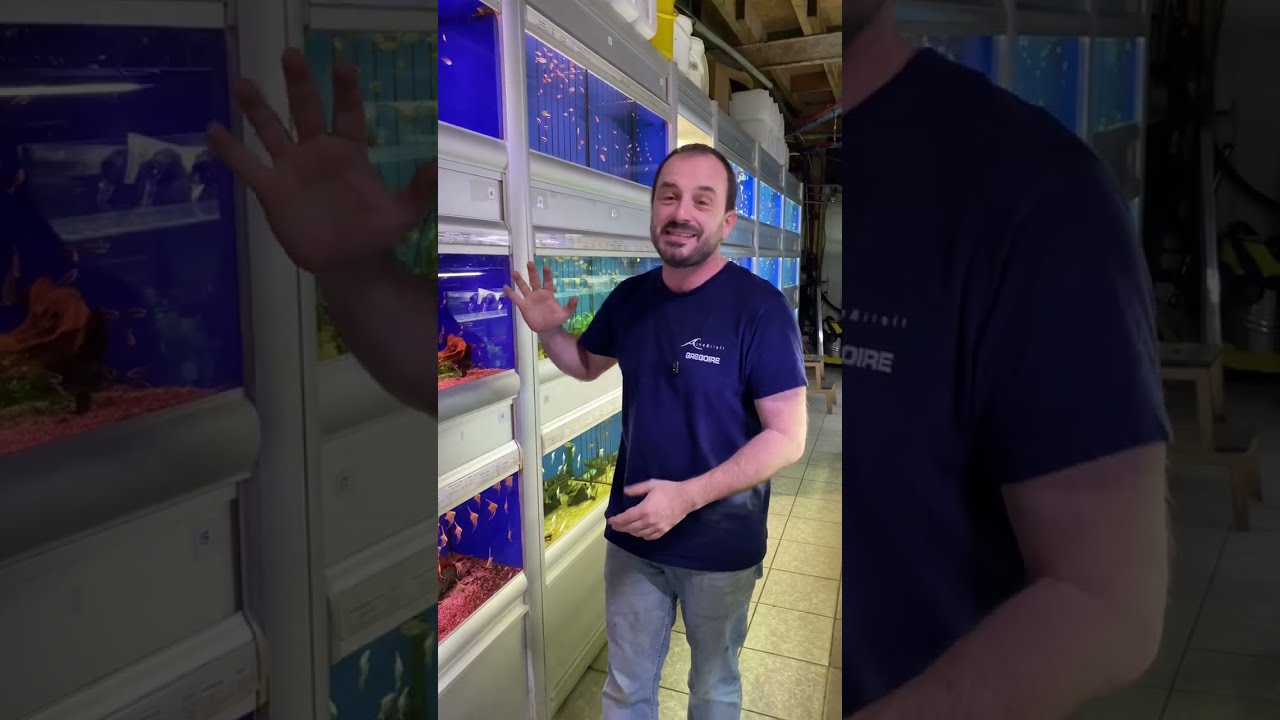 Petit tour de nos nouveautés !