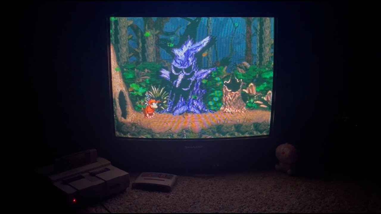 DKC2 Forest Interlude in 1995