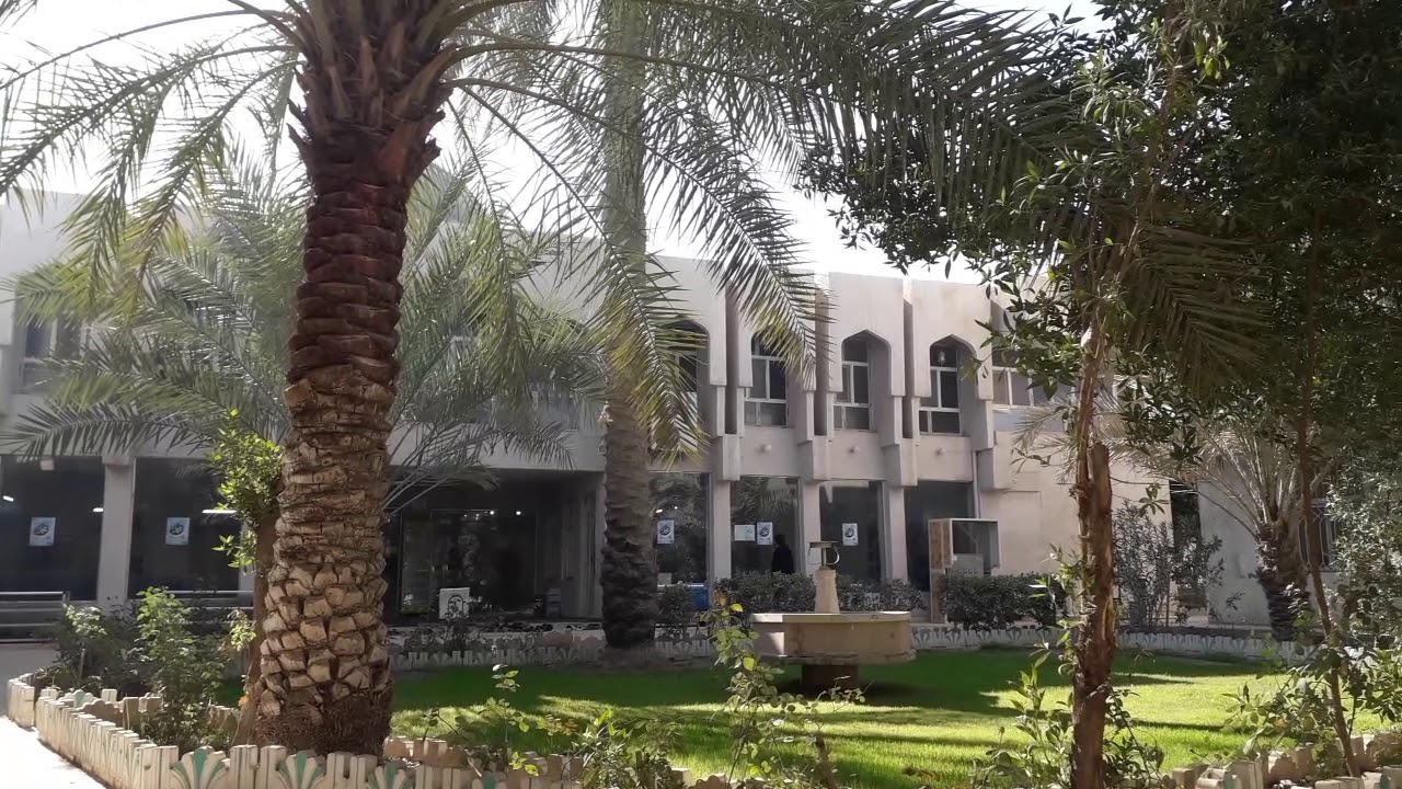 سورة البقرة إنا ارسلناك بالحق بشيرا ونذيرا بصوت القارئ عدي المحمدي من مدينة الفلوجة