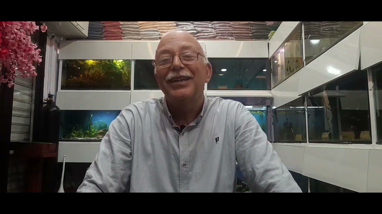 برنامج هذا المساء  حكاوى زمان     ١             كيف بدات مغامرتى فى تربية اسماك الزينه