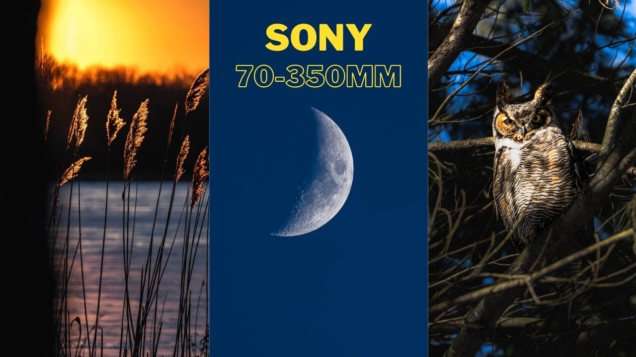 Sony a6400 POV (Sony E 70-350mm f/4.5-6.3 G OSS Lens)