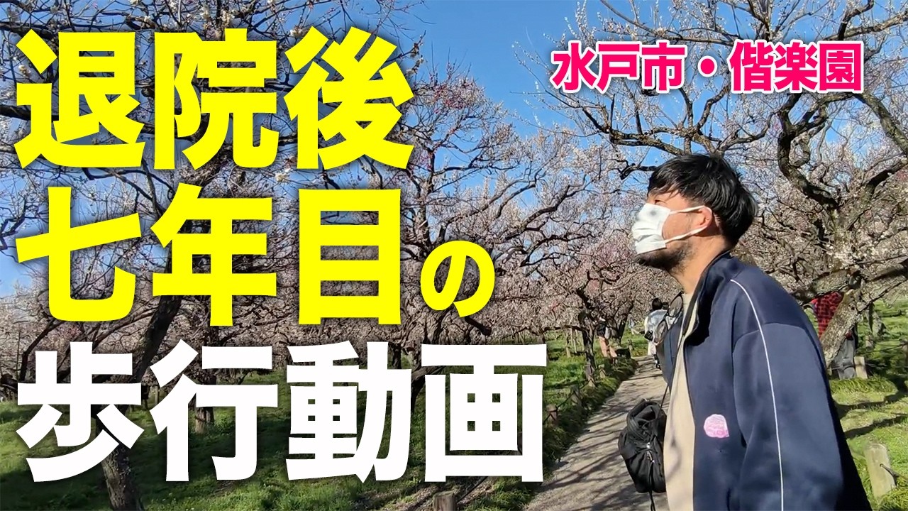 【脳出血片麻痺】退院から七年目の歩行動画　春の水戸市・偕楽園の梅まつりを歩いてみた！