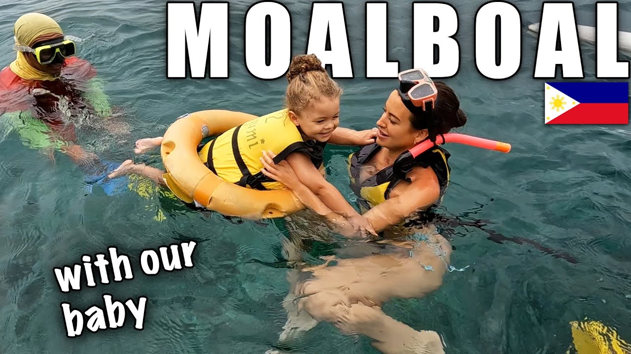 Swimming with sardines & turtles in Cebu, Philippines 🇵🇭