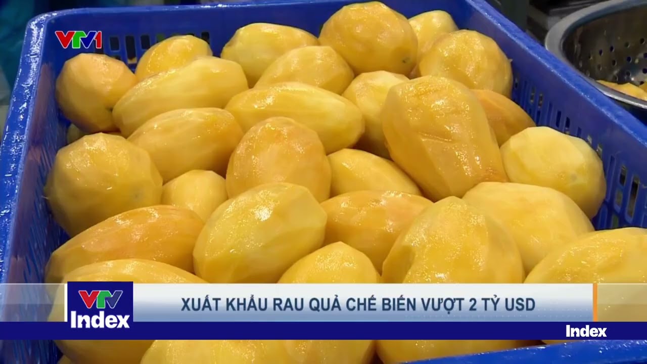 TP. Hồ Chí Minh yêu cầu các trường dừng bữa ăn bán trú có sử dụng sản phẩm của Sago Food | VTVIndex