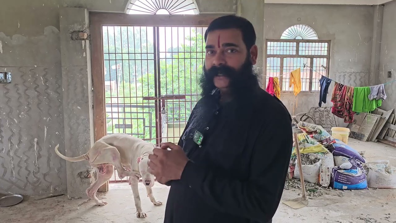 सोनपुर मेला 2025 की तैयारियाँ | बारिश के बाद जानवरों का जोश | Dr Jitendra Yadav