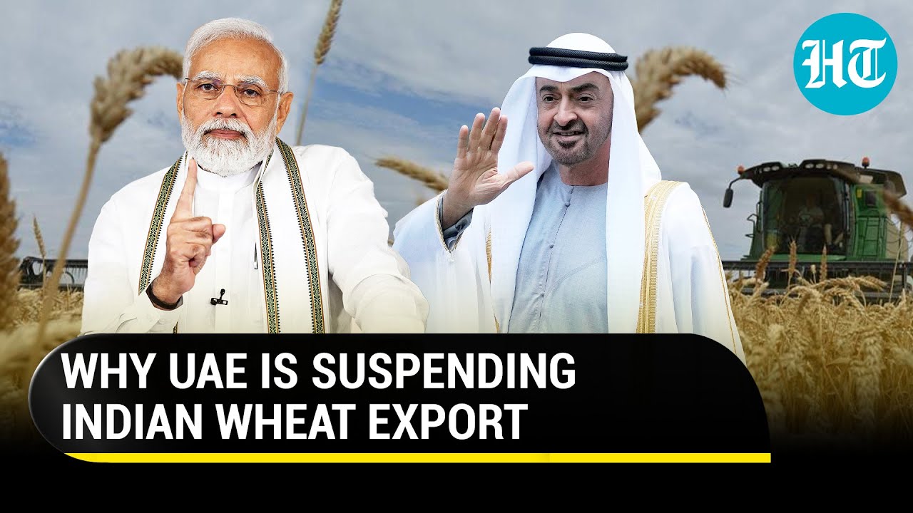 UAE suspends Indian wheat export & re-export for 4 months; Cites &lsquo;interruption in global trade&rsquo;