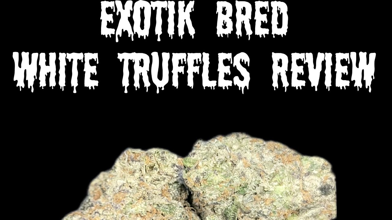 Exotik Bred White Truflles zaza...