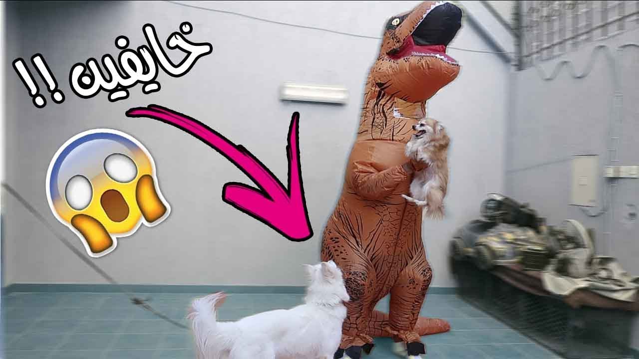 مقلبت كلابي ودخلت عليهم بلبس الديناصور 😂 !!