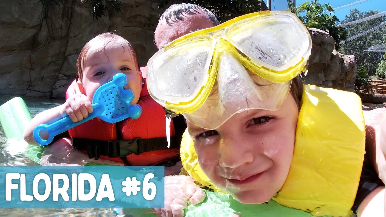 We love Discovery Cove! 🐠😍 | The Radford Family