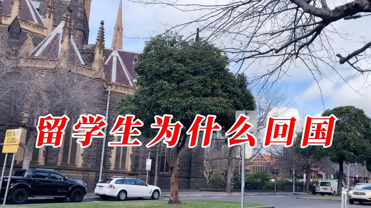 为什么90%的留学生毕业后都会选择回国？难道是因为找不到工作吗？