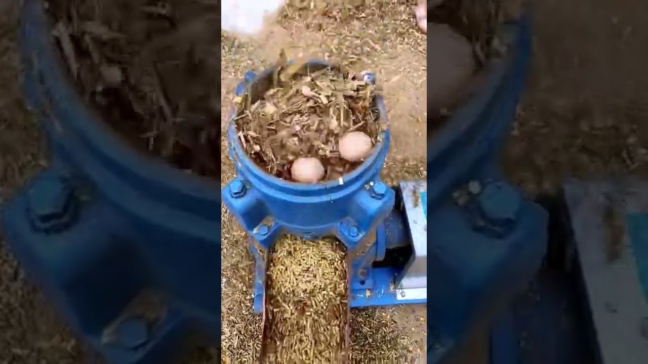 M&aacute;quina de pellets de alimentaci&oacute;n de pollo, ganado y cabra para granja peque&ntilde;a