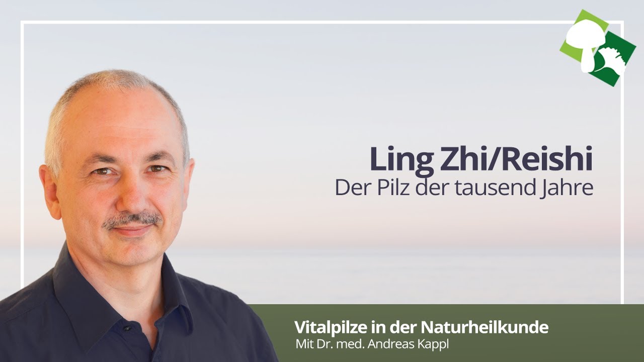Ling Zhi, Reishi Pilz der tausend Jahre |  Dr. Kappl