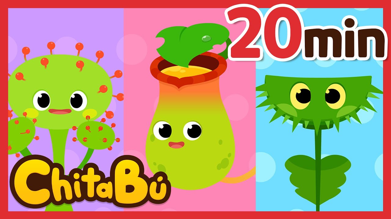 20 min Plantas, Insectos, Dinosaurios Herbívoros y Animales | Canciones Infantiles | #ChitaBú