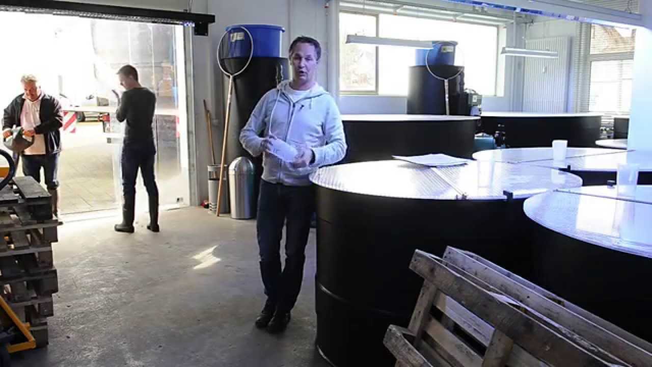 Modern Koi Blog #58 -  Koiimport f&uuml;r K&ouml;lle Zoo