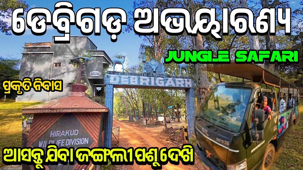 Debrigarh Wildlife Sanctuary|Odisha Wildlife Sanctuary
